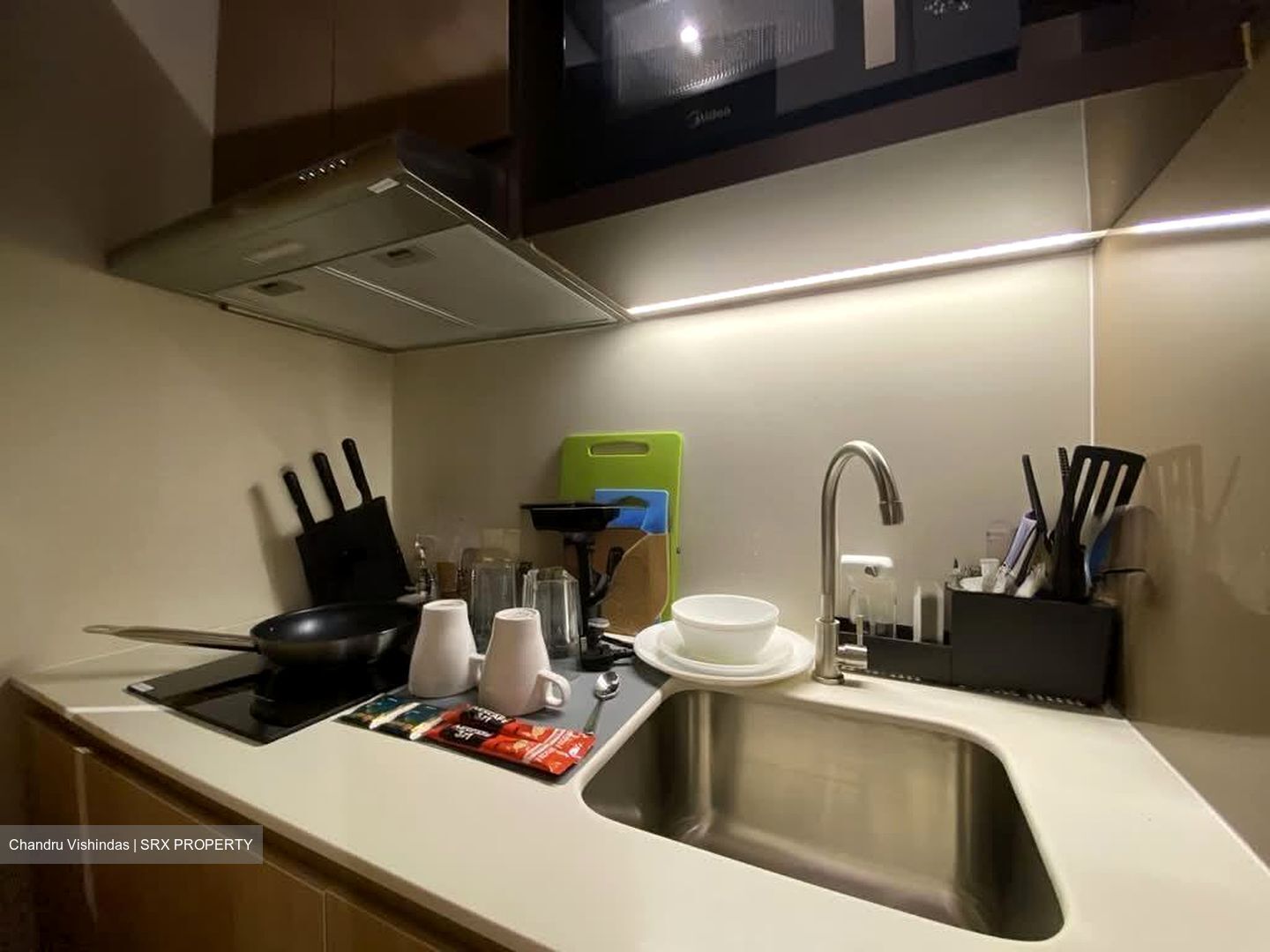 Mount Elizabeth Link (D9), Condominium #585130601